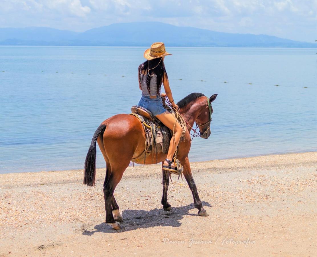 Denny'S Beach Resort Hotel Mariscos Dış mekan fotoğraf